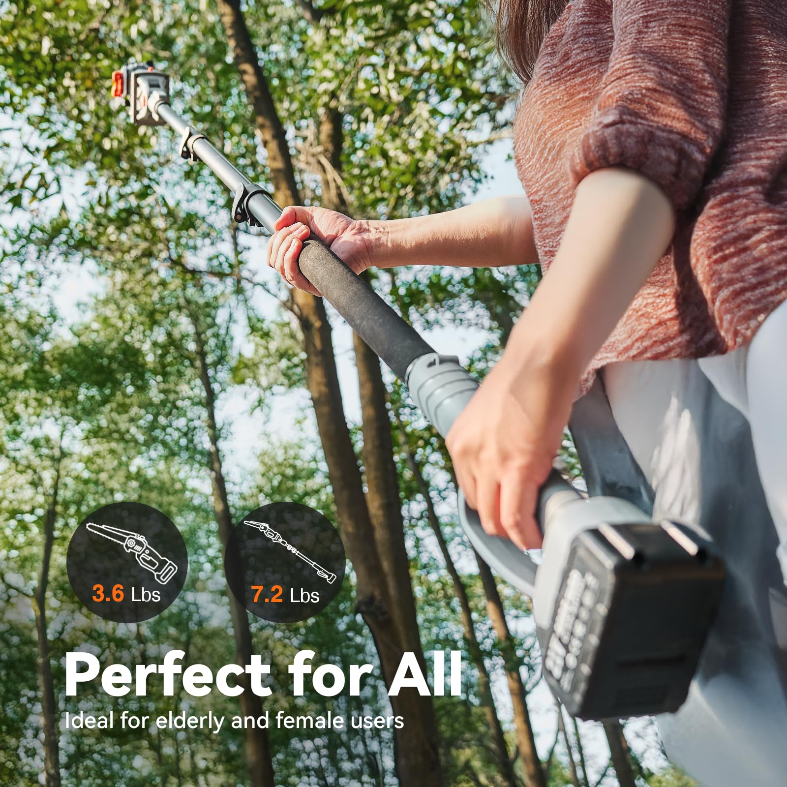 TaskStar 8 inç Uzatılabilir Bu - Garden Shredder Chipper incelemesi ve fiyatı